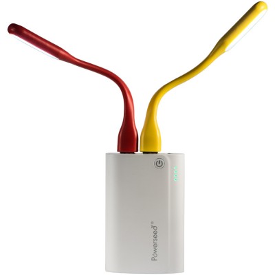 torch-led-light4
